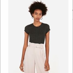 Express: Fitted Crew Neck Tee [L]